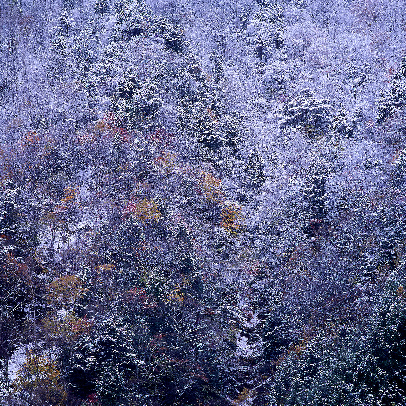 松本市　扉温泉