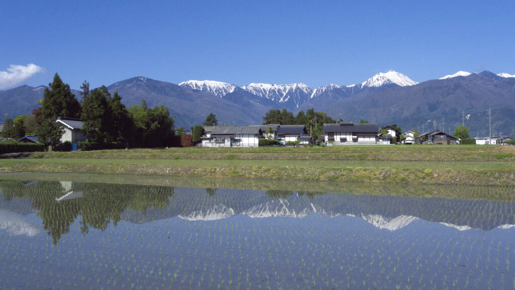 春の安曇野　残雪の常念岳山麓