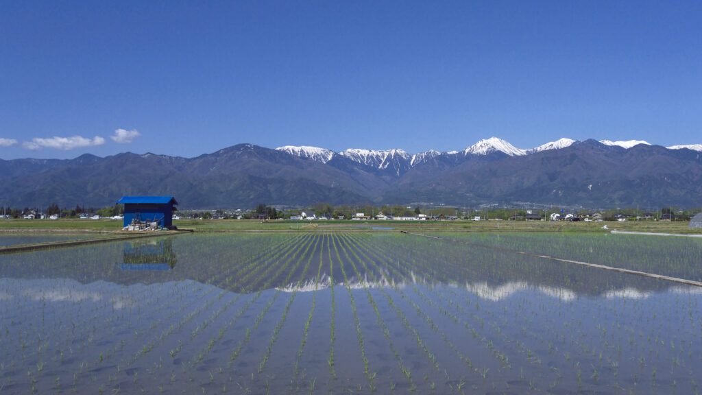 春の安曇野　残雪の常念岳山麓